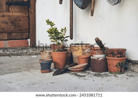 Lots of clay pots, trowel and gardening tools. Gardening and plant care in spring and summer. Series of photographs. Vertical image Royalty-Free Stock Photo #2451081711