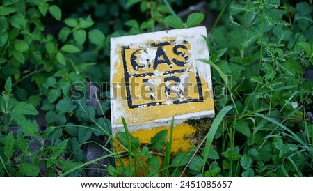 gas pin buried by the grass, near house
