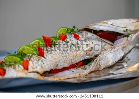 Sea fish known as croaker Argyrosomus regius