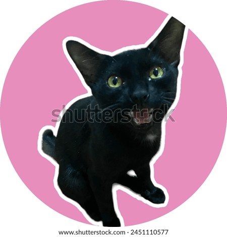 Black cat in pink circle on white background