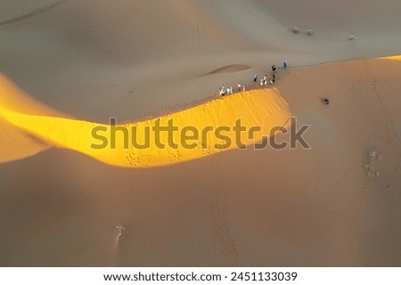 Aerial view of tourists in the Sahara Desert on extreme sport sandboarding excursion