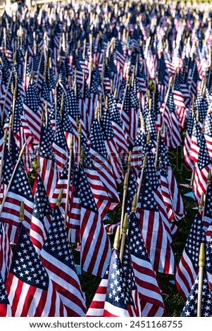 Stars and Stripes Forever. A field of American flags honor fallen heroes.