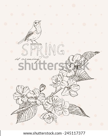 Spring flowers. Apple branch. Greeting Card for March 8. Poster with flowering plants in doodle vintage style. Sketch. Hipster blossom design.