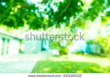Blur image of green leaf in garden at summer,nature of green leaf in garden at summer,sunlight spring summer concept,Natural green leaves plants using as spring background,Copy text space.