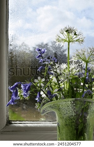 A bunch of handpicked white and blue wildflowers in a beautiful glass vase, positioned behind a wooden window  Royalty-Free Stock Photo #2451204577