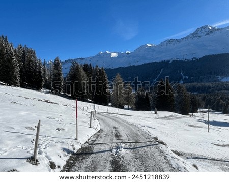 Excellently arranged and cleaned winter trails for walking, hiking, sports and recreation in the area of the tourist resorts of Valbella and Lenzerheide in Swiss Alps - Canton of Grisons, Switzerland
