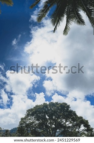 Upside Down - Trees, Clouds, Sky Royalty-Free Stock Photo #2451229569