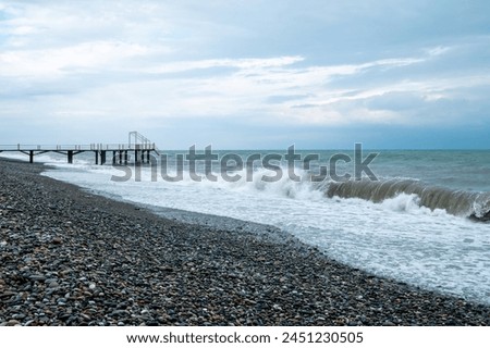 Seashore and pier in the distance