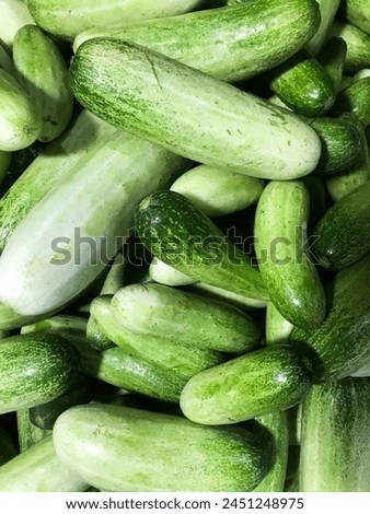 Cucumber, zucchini, gherkin, or bonteng are plants that produce edible fruit. The fruit is usually harvested when it is not yet fully ripe to be used as a vegetable or refreshment. Royalty-Free Stock Photo #2451248975