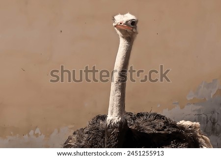 A picture of a huge, beautiful ostrich standing next to the wall