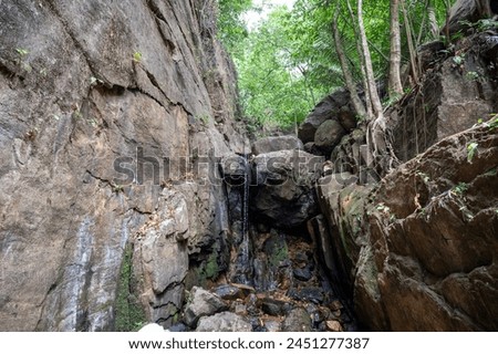 narrow water stream through carved rocks inside rain forest