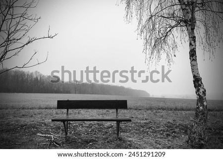 Black and white view, lonely bench in the landscape, in the foreground are two trees with bare branches and field, in the background is a forest and foggy heaven, outside
