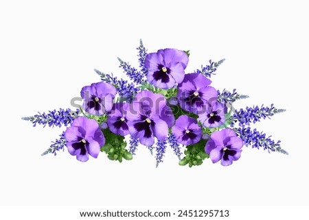 Flower floral rose purple color colorful petals inflorescence bloom blooming blossom isolated beauty beautiful nature natural object closeup on white background