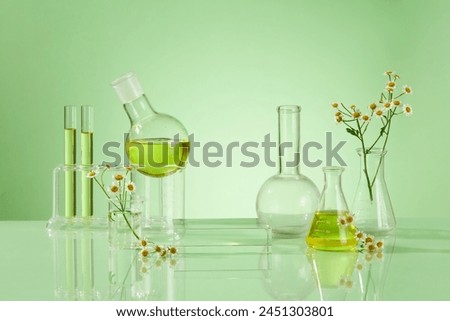 A front view of rectangle transparent podium, boiling flask, beaker, flask decorated with feverfew flower on fresh green background with blank space for advertising