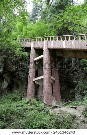 Exterior photo view of a natural valley in a forest woods with mountains wild nature a wood staircase structure to go up the hills trees bushes pillars with somebody walking down