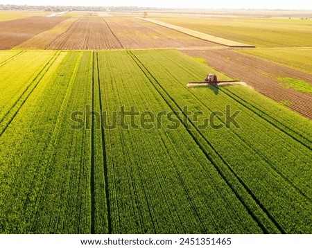 Aerial view of a farmer driving a tractor on a rural path between vibrant wheat green crops