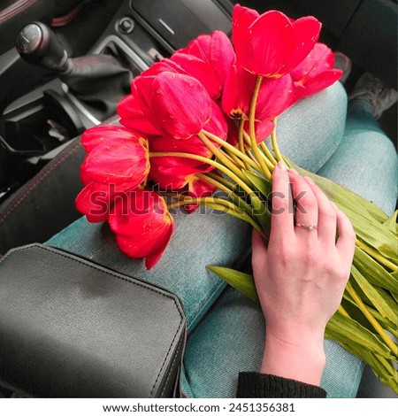 Woman Hand Holding Red Gerberr a Flower with Car.  Free Stock Photo 