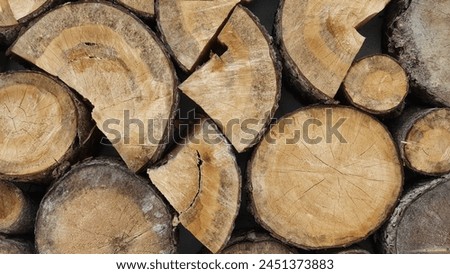 small and large tree stumps, background