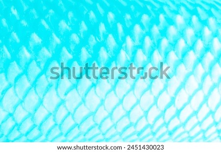 Fish scale, snake skin texture background. Scaly dragon background. Abstract pattern of fish scale scallop. Mermaid scales blue turquoise