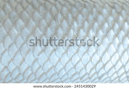 Fish scale, snake skin texture background. Scaly dragon background. Abstract pattern of fish scale scallop. Mermaid scales grey silver shine gloss white glossy