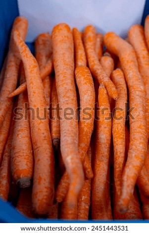 Different types and sizes of non standard orange carrots in plastic box in vegetables processing farm, close up, Waspeen type Royalty-Free Stock Photo #2451443531