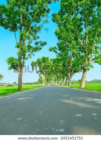 It is a picture of a road flanked by nature's green trees and blue sky.