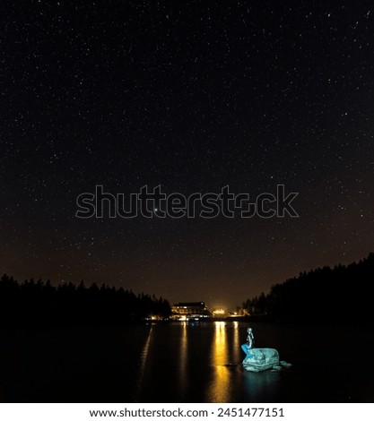 Mummelsee at night with the Nixie sculpture