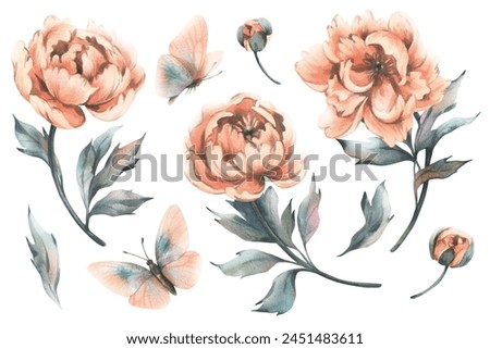Delicate flowers, buds and leaves of peach and pink peonies with butterflies in a trendy color and vintage style. Hand drawn watercolor illustration. Set of elements isolated from background.