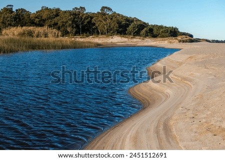 A body of water with a sandy beach and trees in the background. The water is calm and blue