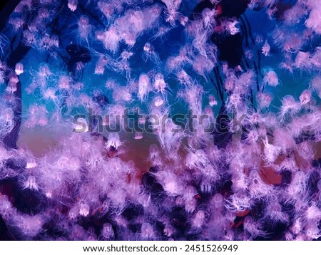 Jellyfish Medusa Aquarium background Art       