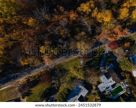 Aerial top down of neighborhood and colorful trees in fall in suburban Philadelphia Pennsylvania USA