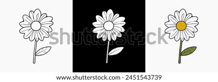 Daisy Flower vector on white isolated background. beautiful botanical illustration. Decorative floral silhouette.