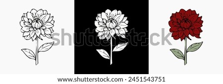 Dahlia Flower vector on white isolated background. beautiful botanical illustration. Decorative floral silhouette.