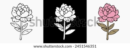 Peony Flower vector on white isolated background. beautiful botanical illustration. Decorative floral silhouette.