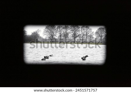 Exterio photo view of a pond water river lake surface with wild ducks birds on it to call forothers to come down for hunters to hunt them when hunting see though the window gap spying spy