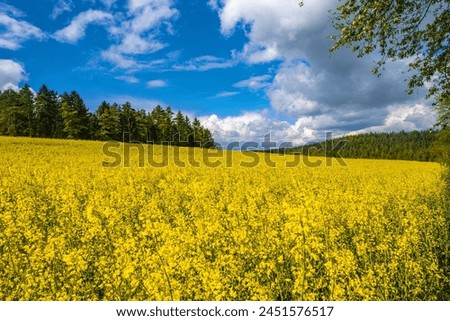 
Rural spring landscape on a sunny spring day near the city of Nuremberg in Germany.