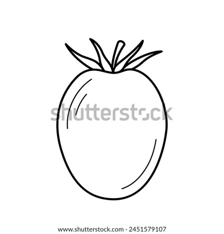 Tomato. Hand drawn sketch icon of vegetable. Isolated vector illustration in doodle line style.