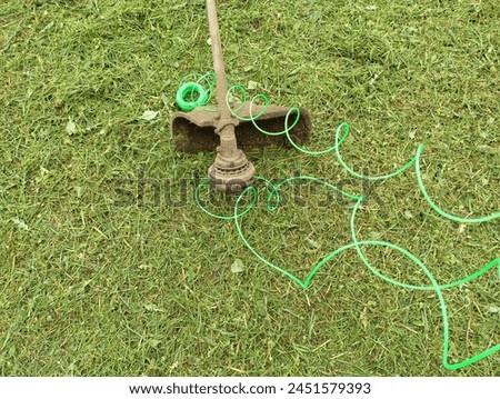 An unwound grain on the drum of a brushcutter on a background of mowed grass. The topic of lawn care in the yard. Gardening and lawn care. Tool for grass lawn care. Royalty-Free Stock Photo #2451579393