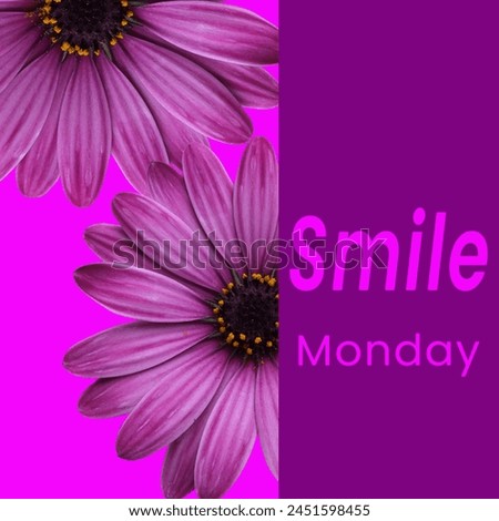 jpeg image of purple flower with pink background. new week. hello Monday. smile Monday. best use for social media or Instagram, LinkedIn post.