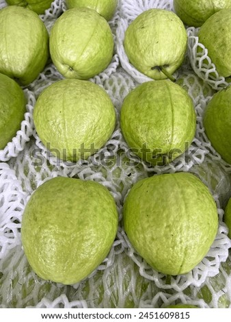 Photographing fresh guava sold in a fruit shop