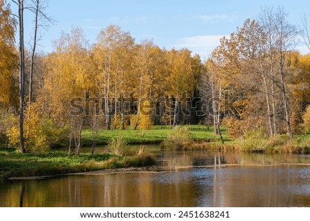 Beautiful autumn landscape with a lake in a golden-brown forest and a bright green meadow, and coastal grass near by the lakeshore, under a blue sky. Reflection of the blue sky in the water. Royalty-Free Stock Photo #2451638241