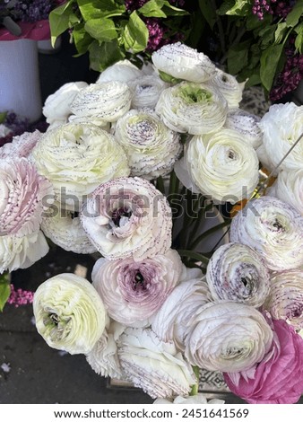 flowers and bouquets, floristry, bouquets in a vase