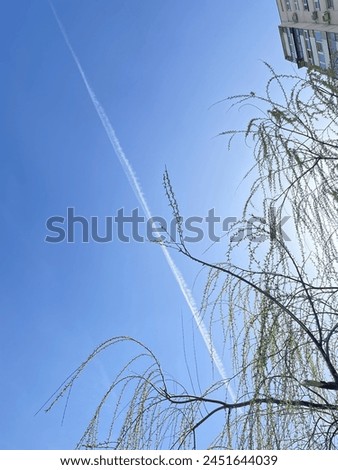 Airplane trail against the sky