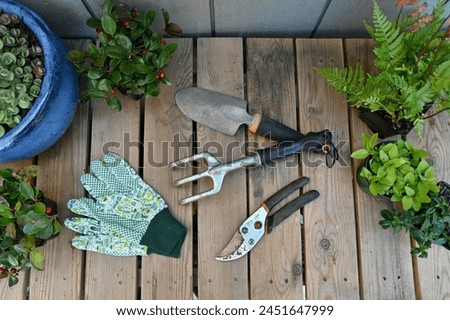 Garden tools on garden bench ready for spring and summer yard work, arrangement and display background. Royalty-Free Stock Photo #2451647999