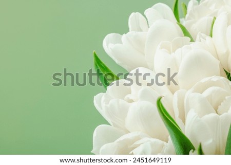 A bouquet of white tulips on a pastel green background. Blooming flowers, festive concept for Mother's Day or Valentine's Day. Greeting card, Easter flat lay, best wishes, copy space