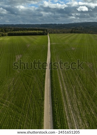 Aerial photo of gravel road to Alling Vest camp spot at Gudenaa, Denmark