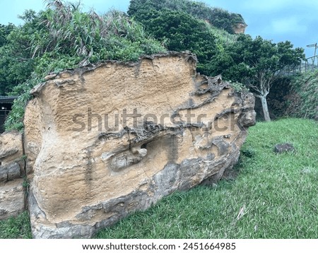 Sandstone erosion texture for background Royalty-Free Stock Photo #2451664985