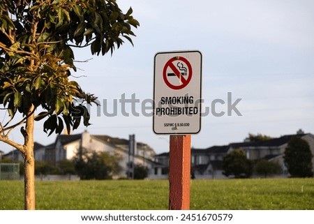 
A no smoking sign on a post with a tree in the foreground and houses in the background during daylight
