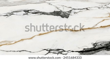 Marble texture for skin tile wallpaper luxurious background. Creative Stone ceramic art wall interiors backdrop design. picture high resolution. paonazzo 2