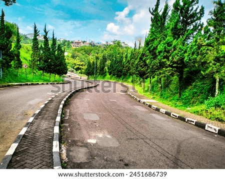 climbing and winding roads lined with pine trees in an exclusive residential area Royalty-Free Stock Photo #2451686739